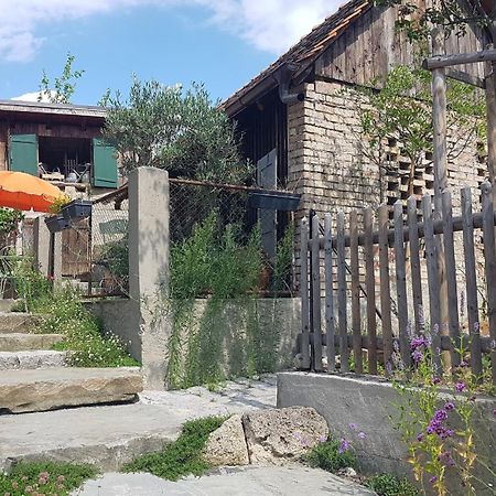 בודמן-לודוויגסהפן Historisches Fachwerkhaus "Hoher Hirschen" - Stilvolles Studio Und Museales Apartment Mit Romantischem Hof Und Garten מראה חיצוני תמונה