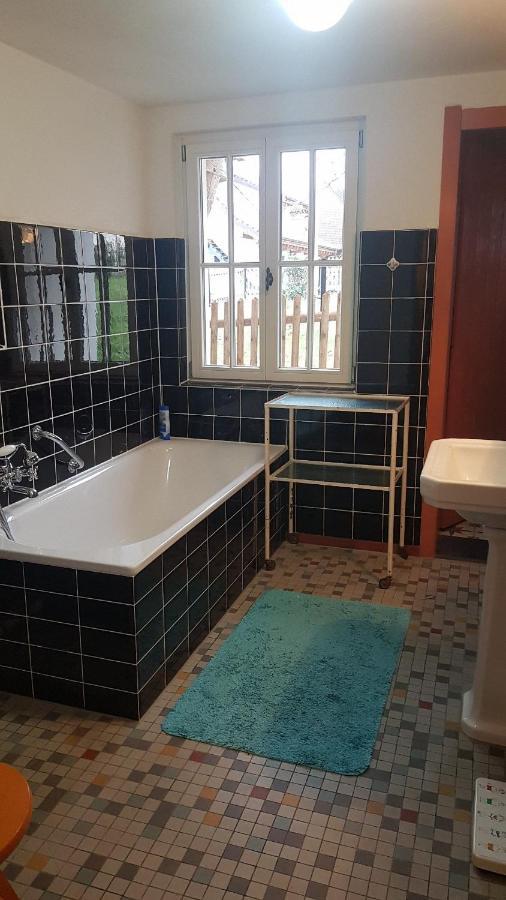בודמן-לודוויגסהפן Historisches Fachwerkhaus "Hoher Hirschen" - Stilvolles Studio Und Museales Apartment Mit Romantischem Hof Und Garten מראה חיצוני תמונה